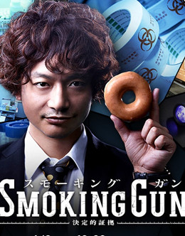 SMOKINGGUN~决定的证据