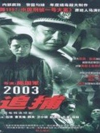 追捕2003版