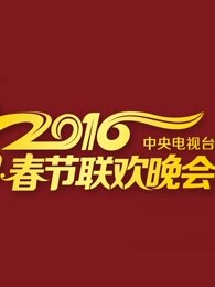 2016央视元宵