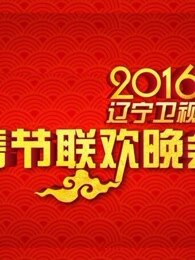 2016辽宁卫视元宵