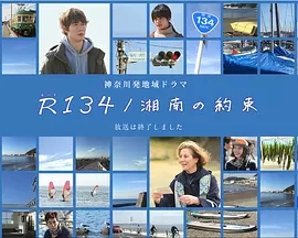 国道134湘南的约定