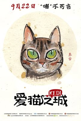 爱猫之城