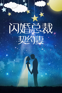 闪婚总裁契约妻