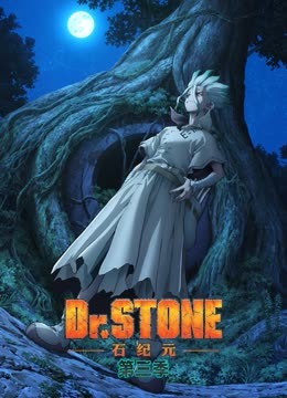 Ｄｒ．ＳＴＯＮＥ 石纪元第3季